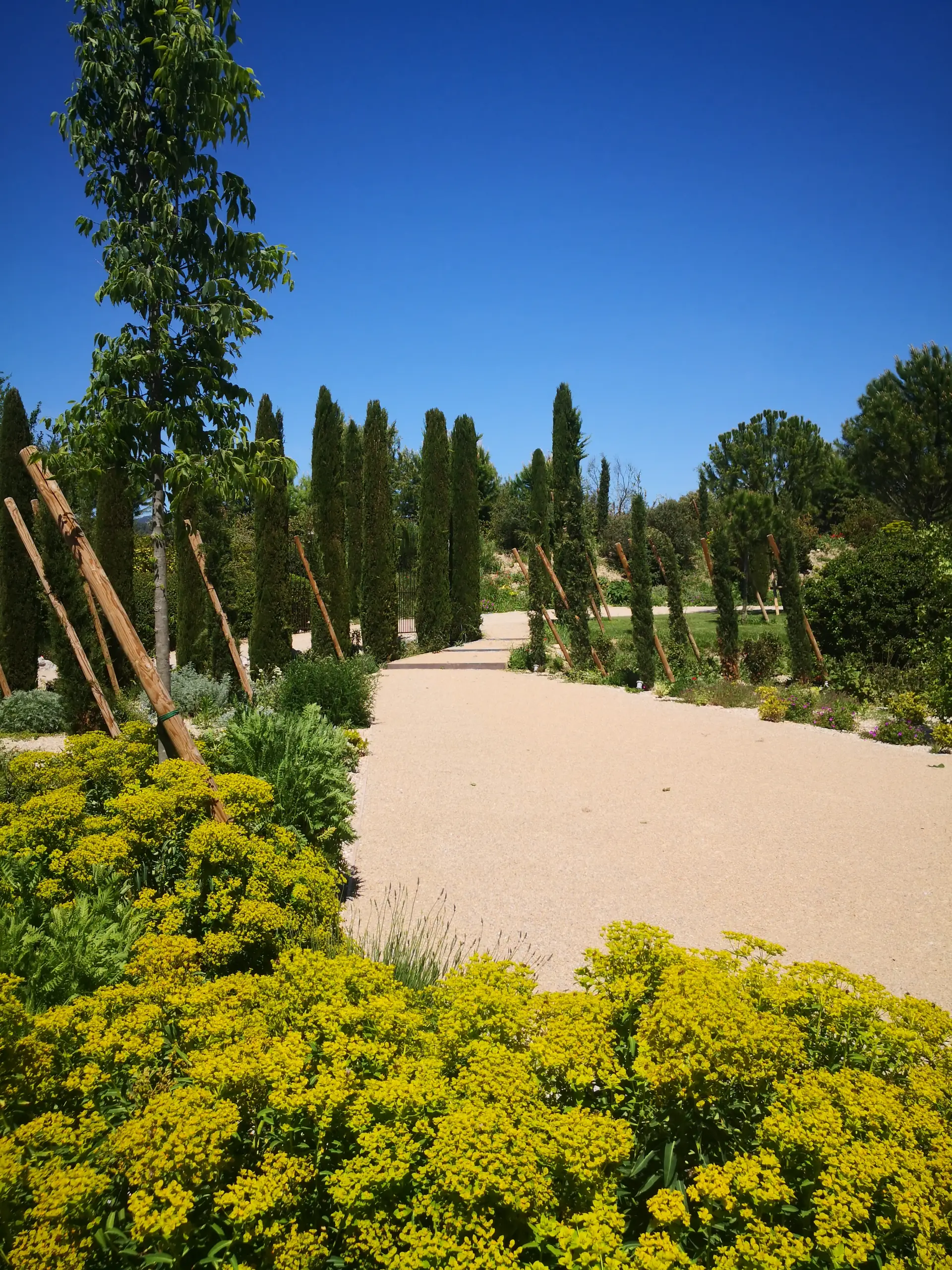 Jardin méditerranéen restructuré à Roussillon — vue 4
