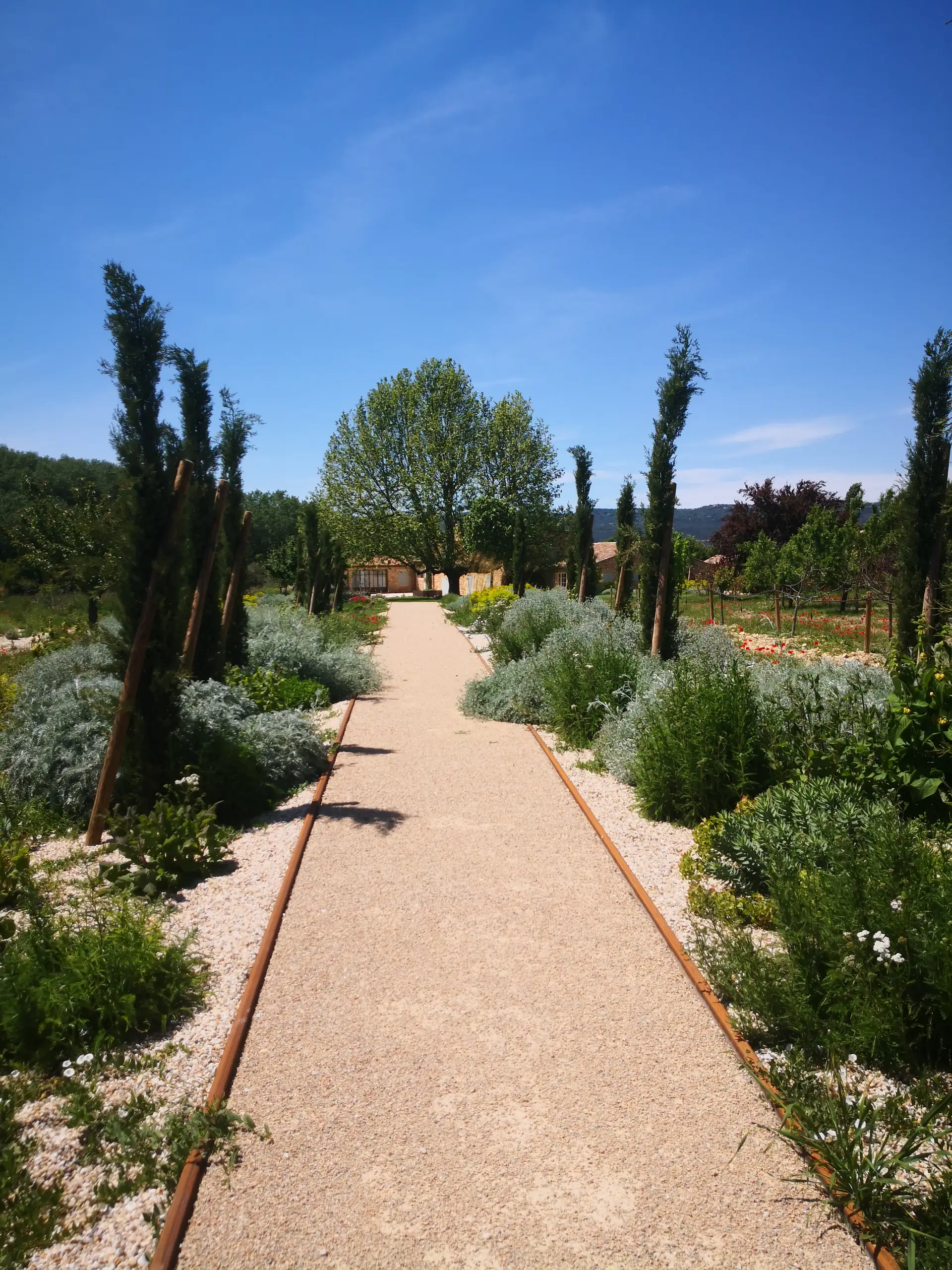 Jardin méditerranéen restructuré à Roussillon — vue 6