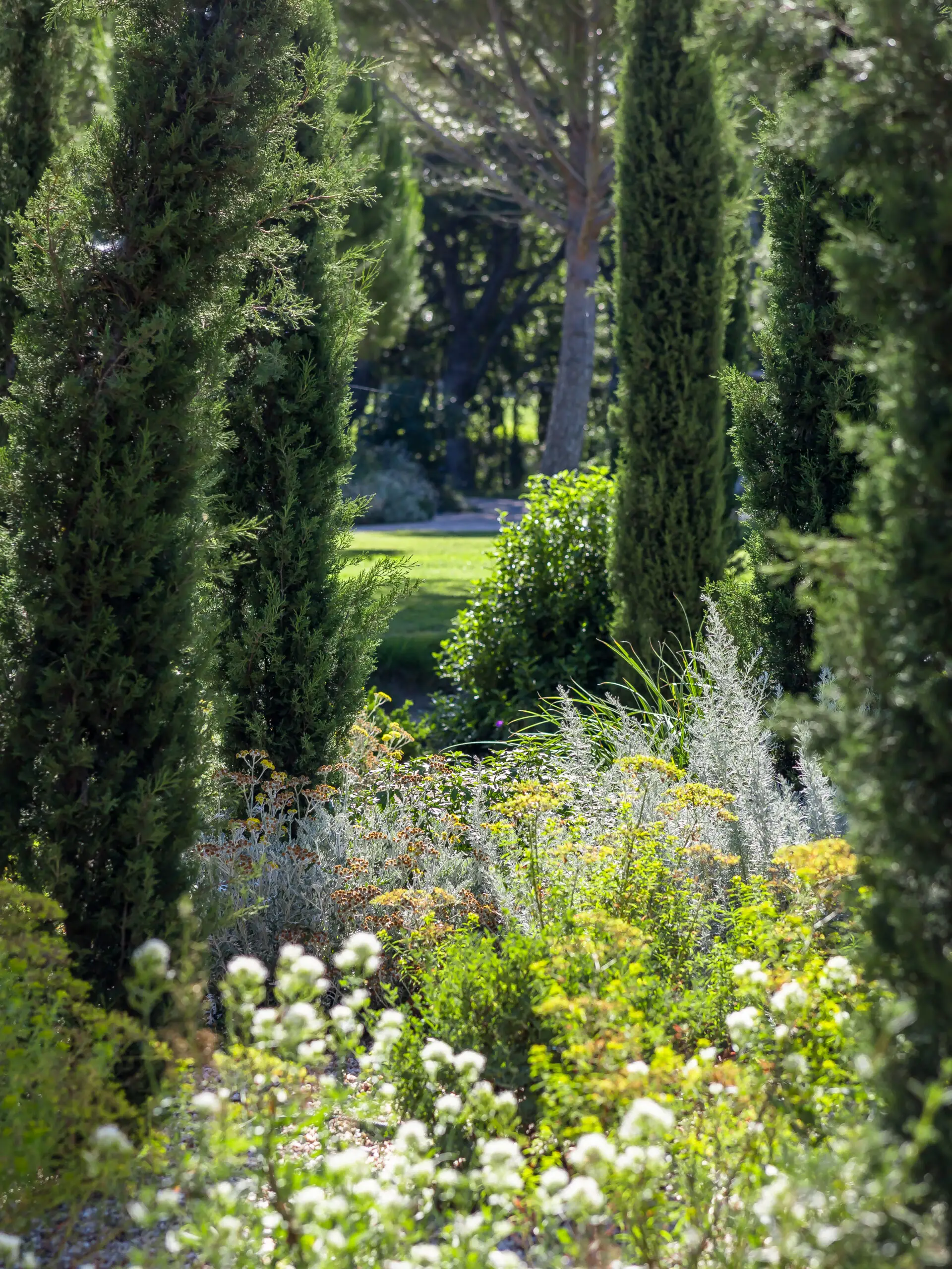 Jardin méditerranéen restructuré à Roussillon — vue 7
